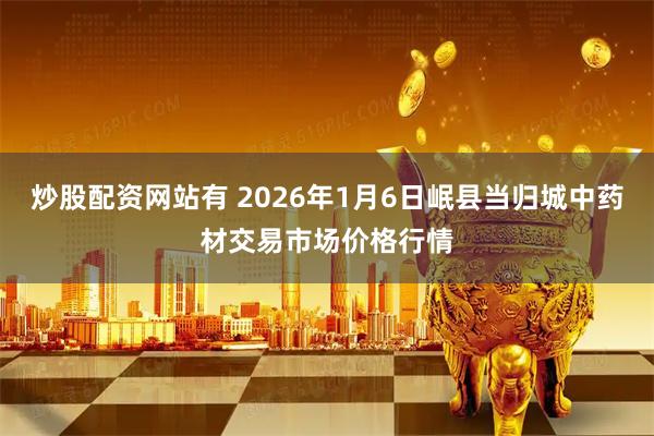 炒股配资网站有 2026年1月6日岷县当归城中药材交易市场价格行情